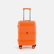 Trolley Ynot? 39x55x20