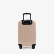 Trolley Ynot? 34x53x20